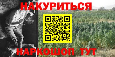шишки Новокубанск