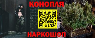 шишки Новокубанск