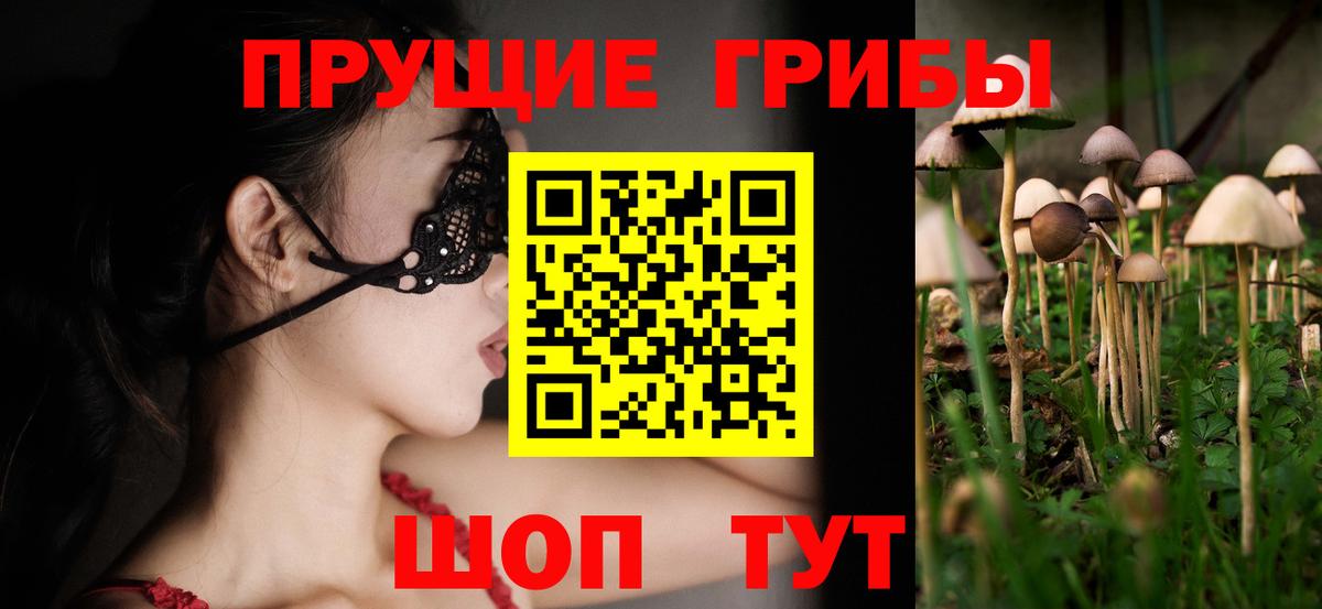 Псилоцибиновые грибы GOLDEN TEACHER  Вход с VPN  купить наркоту  Сыктывкар 